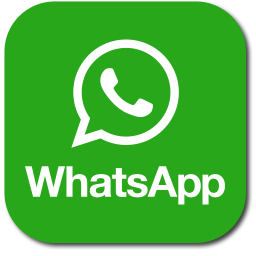Assistenza Whatsapp in tempo reale